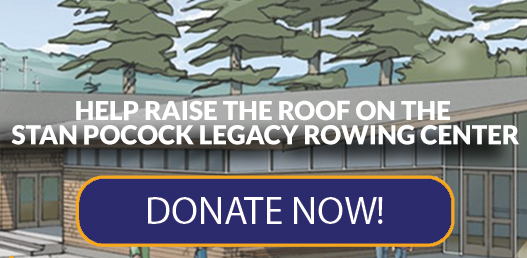 Raise The Roof - Donate Now Button